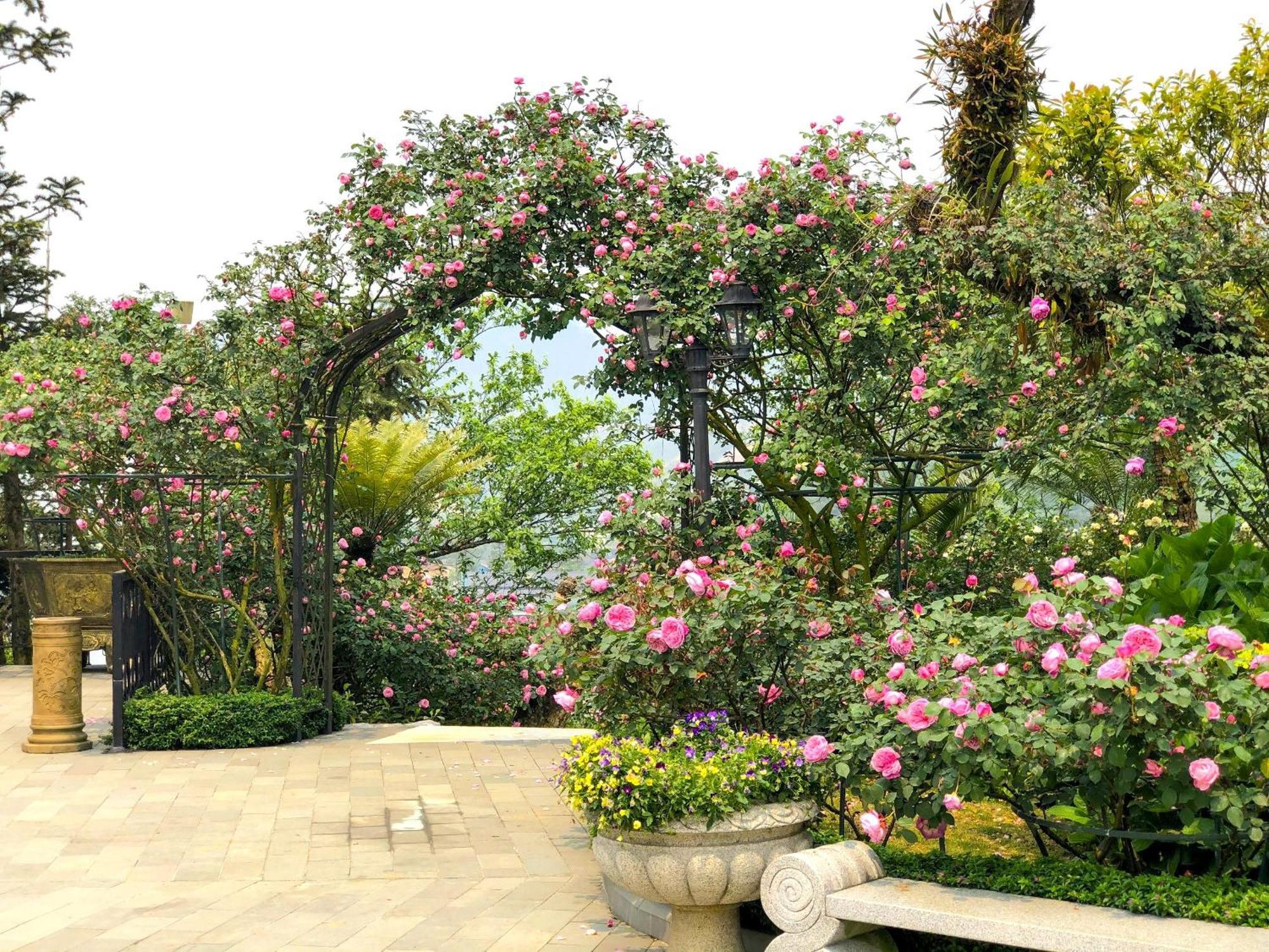 Silk Path Grand & Hotel